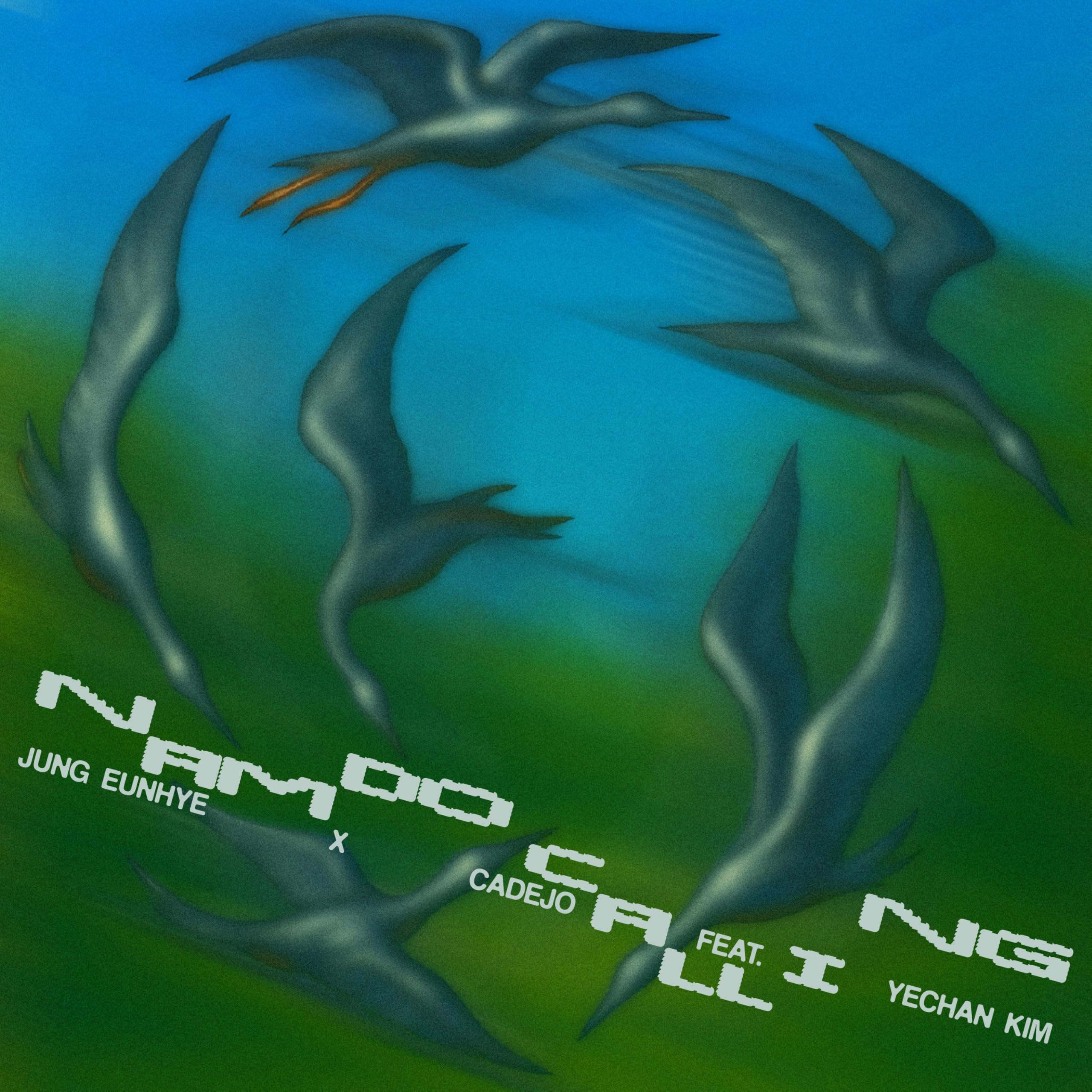 Image Cover